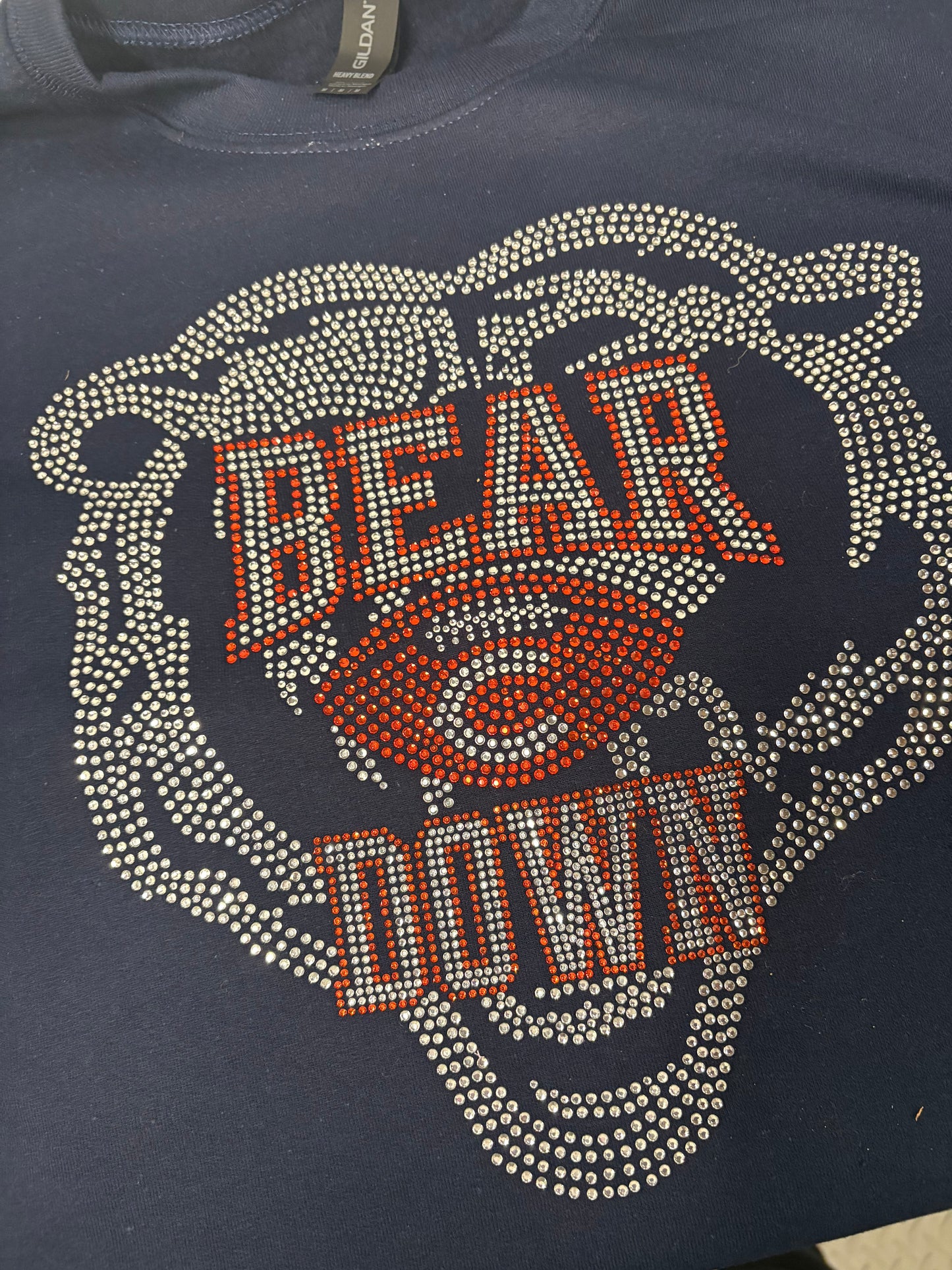 Bear Down Hoodie
